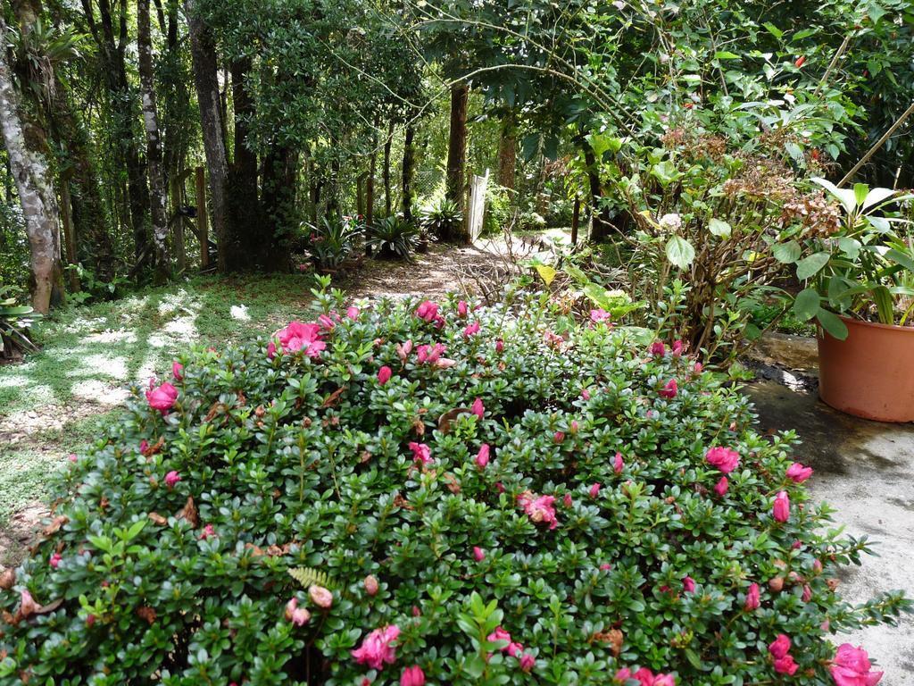Aromas Da Serra II Campos do Jordao Luaran gambar